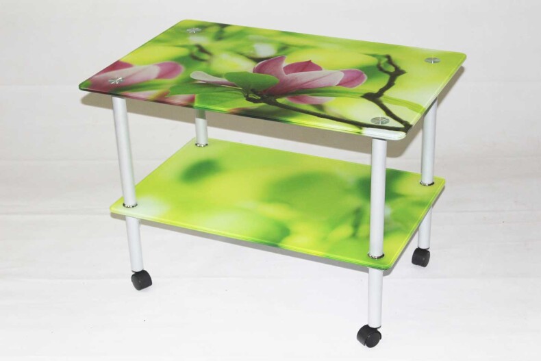 Прямоугольный журнальный стеклянный столик Эвита 08 (750х500) с фотопечатью Цветы