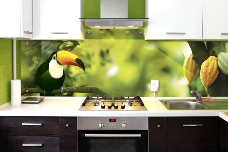 Стеклянный кухонный фартук с фотопечатью Тропический попугай